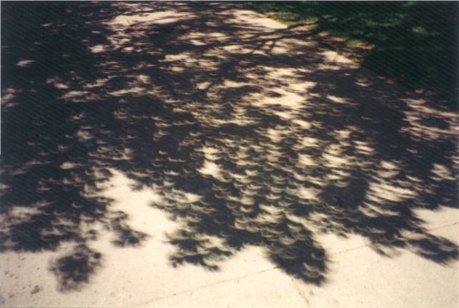 Sombra de los arboles durante un eclipse